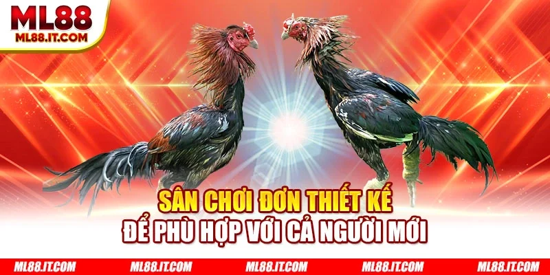 Sân chơi đơn thiết kế đề phù hợp với cả người mới