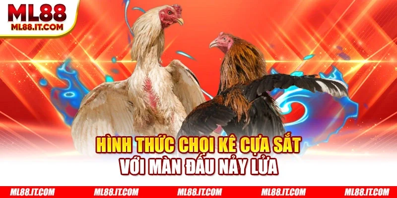 Hình thức chọi kê cựa sắt với màn đấu nảy lửa
