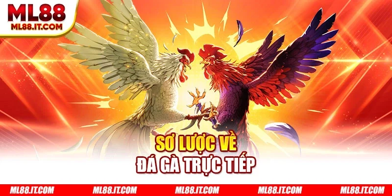 Sơ lược về đá gà trực tiếp